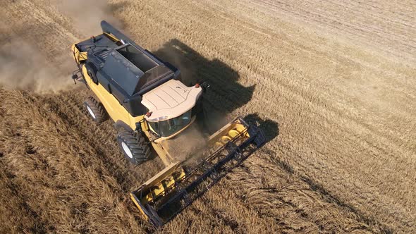 Harvester Combine Working in the Field