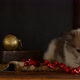Little Puppy Plays with Christmas Decorations Lying on an Antique Dresser - VideoHive Item for Sale