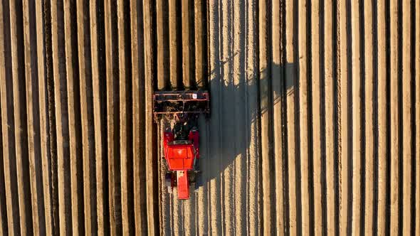 Aerial View of Tractor Performs Seeding on the Field