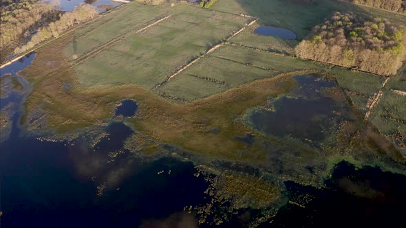 Aerial view of a swamp in early morning, Germany.