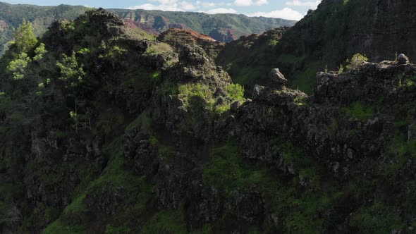 Waimea Canyon. Aerial Footage Close To the Layered Rocky Ridge Overgrown with the Herbs