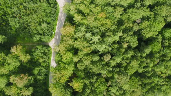 Aerial top shot flying over a green forest with streets and a green meadow at the end of the clip.