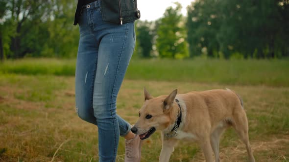 Vertical Portrait Panoram of a Woman, Listening Music From Headphones in the Park with Her Dog.