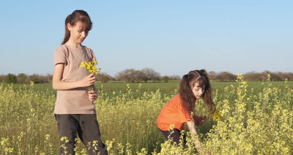 Children in the Field with Flowers