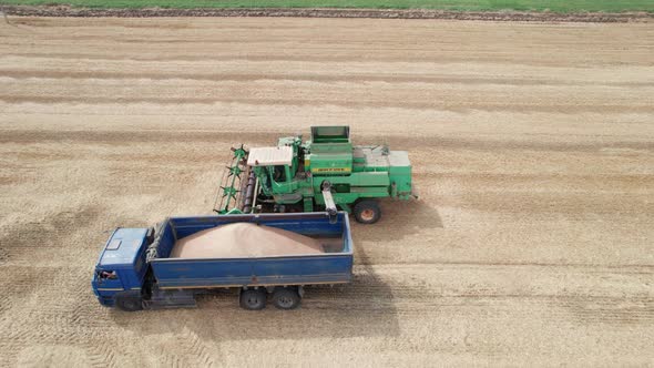 Aerial View of Harvester Machines Working in Wheat Field