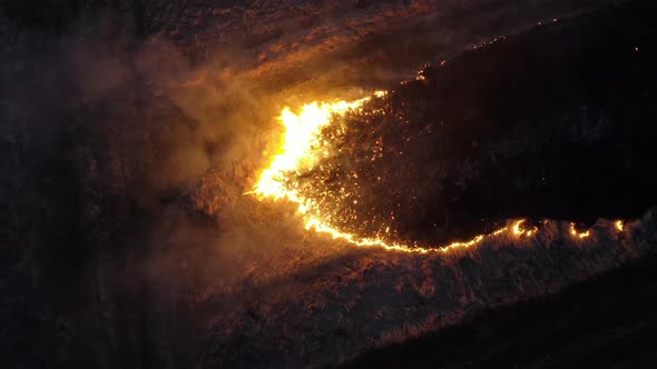 Amazon fire. Epic Night aerial View of Smoking Wildfire. Amazon and Siberian wildfires.