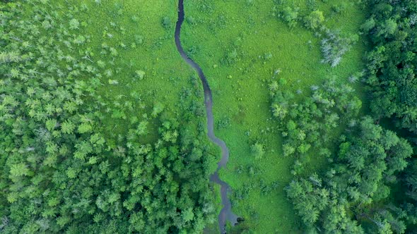 Aerial view over lake in the forest