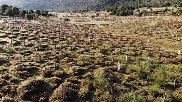 Sad Hill Cemetery in Spain. Aerial View