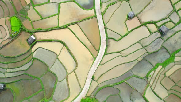 Aerial video of drones flying over rice terraces 