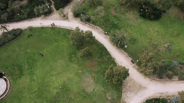 Aerial view of Spiegel Park in Tel Aviv, Israel. A large recreational area in the city with large gr