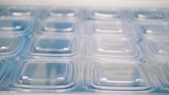 Production Line with Transparent Tray Lids