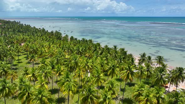 Patacho beach at Sao Miguel dos Milagres Alagoas Brazil.