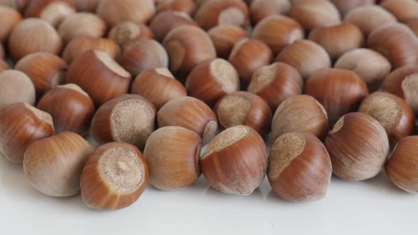 Whole hazelnuts on white background 4K 2160p 30fps UltraHD tilting footage - Corylus avellana nuts c