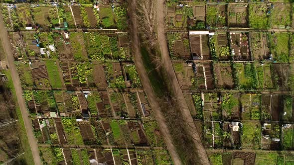 Organic Vegetable Garden