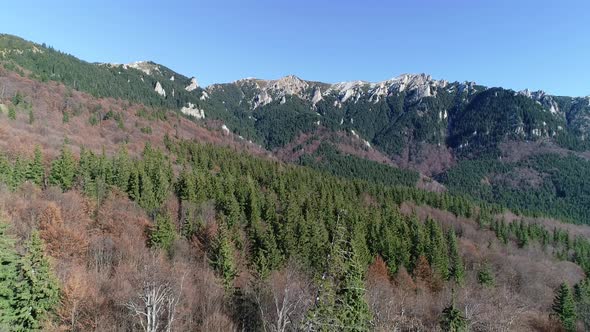 Aerial Mountain Trees 4k