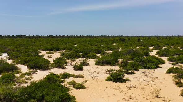 Desert Landscape in Sri Lanka