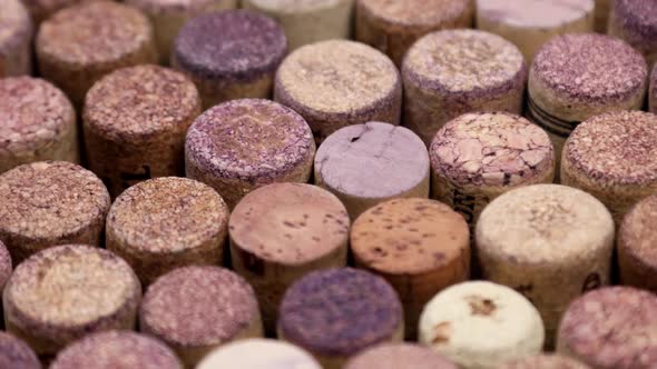 Various Wooden Wine Corks