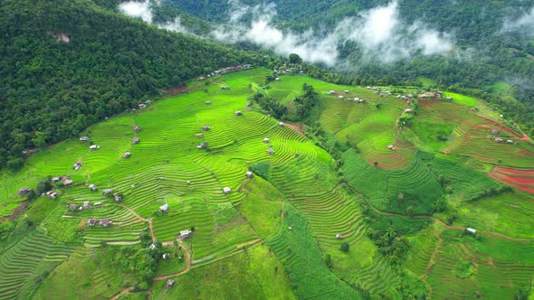 Aerial view of drones flying over rice terraces