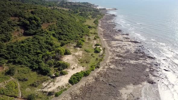 Tranquil Sea Washes Coast Covered Tropical Plants