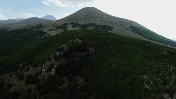 Forests With Valley Mountains