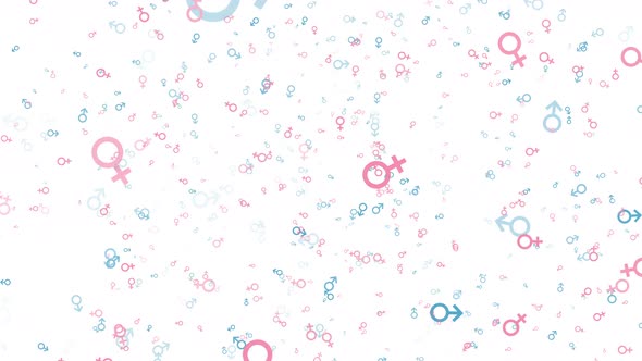 Pink and blue male and female symbols on a white background. Gender signs animated elements