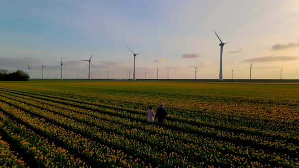 Offshore Windmill Farm in the Ocean Westermeerwind Park Windmills Isolated at Sea Beautiful Bright