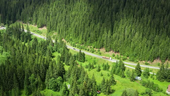 Aerial View of the Highway Road in Mountains with High Fir Trees in the Forest