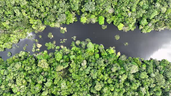 Stunning landscape of Amazon Forest at Amazonas State Brazil.