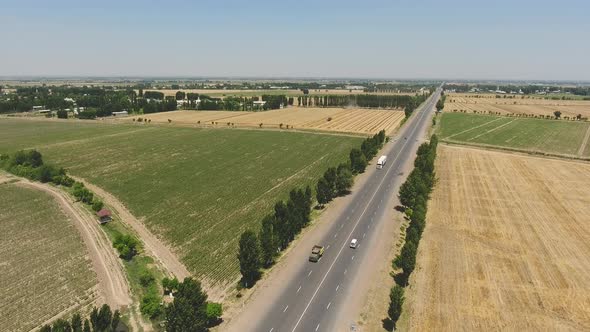 panorama of a cotton field in the countryside