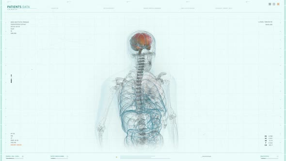 Projection Of Human Body X-Ray In Future Anatomy Diagnostic Monitoring Software alt