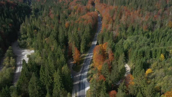 Flying Over The Empty Autumn Road 24