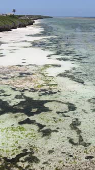 Vertical Video of Low Tide in the Ocean Near the Coast of Zanzibar Tanzania