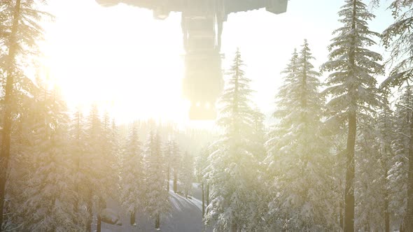 UFO Hovering Over a Forest at Sunset alt