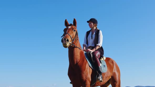 An Equestrian Woman on Horseback