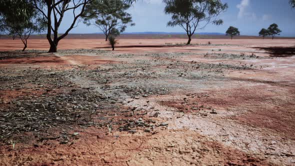 Cracked Ground Dry Land During the Dry Season