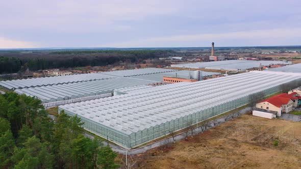 Aerial view. Greenhouses of large sizes.