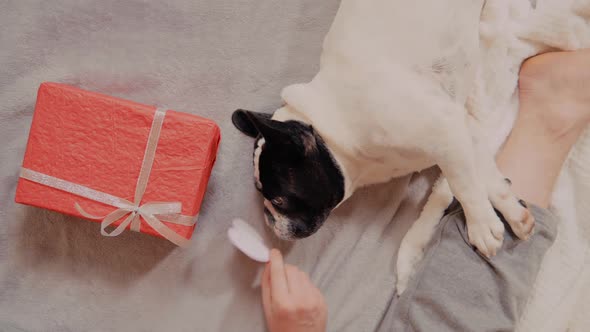 Close Up Male Hands with Christmas Present