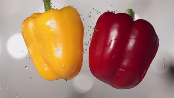 Flying Colored Red and Yellow Peppers Collision in the Air in Slow Motion