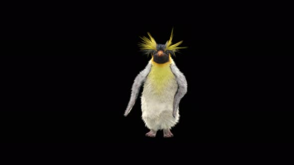 Penguin Dancing 4K