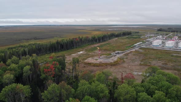 The Drone Flies Over Trees That Hide Illegal Oil and Gas Production