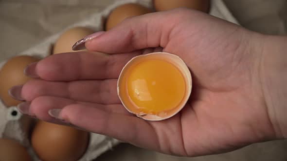 Female Hand Holds a Broken Chicken Egg