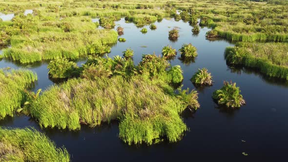 Peatlands and marshes at Batu Kawan