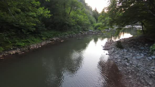 FPV Aerial Shot Dynamic Flying at Natural Landscape River Canyon in the Dense Green Forest and Rapid