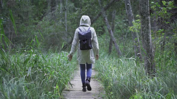 Hiker Walking Trail In Forest