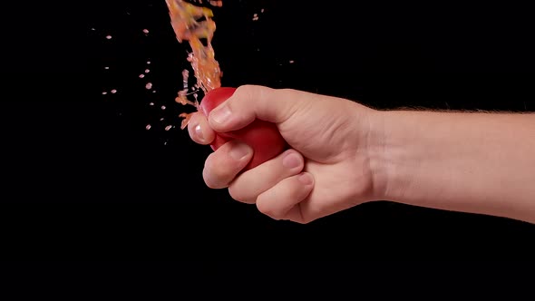 Male Hand Crushing Fresh Red Tomato and Exposing All the Seeds Juice and Flesh Inside the Healthy