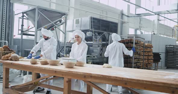 Bakery Industry Happy Workers Have a Great Day