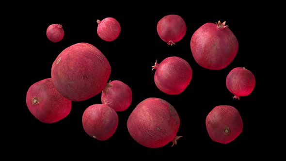 Pomegranate Fruit