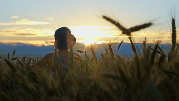 Boy Walking Through a Golden Wheat Field at Sunset Back View Against a Beautiful Sky