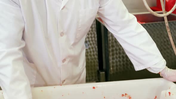 Portrait of butcher mixing minced meat in container