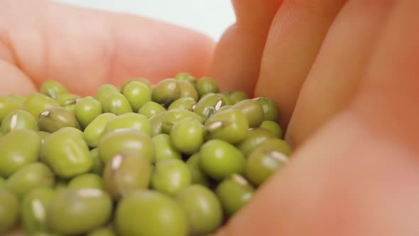 Handful of Bright Green Beans Against White Studio Macro